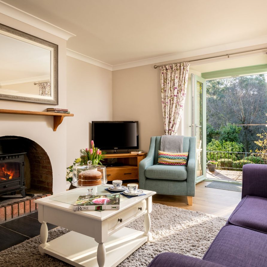 tarragon-farm-holiday-cottage-living-room-nethway-farm
